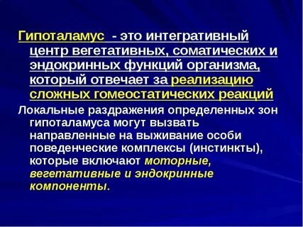 Активность гипоталамуса
