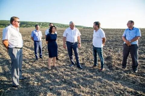 Работа в гостагаевской