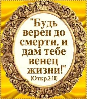 Венец жизни