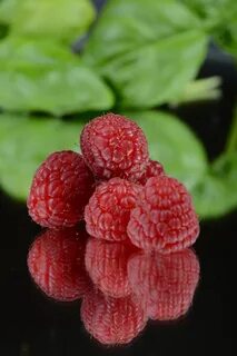 Mirror fruit