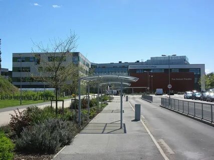 Community college