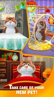 Мини игра хомяк сегодня 22