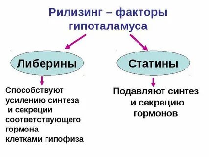 Рилизинг факторы гипоталамуса
