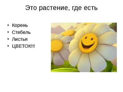 Где цветы текст