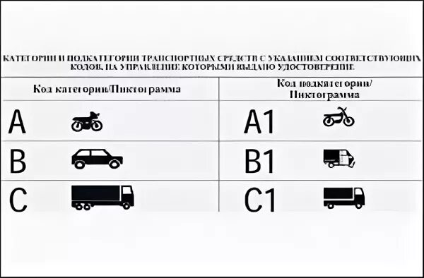 Категория прав b m. А а1 в в1 м категории в водительском удостоверении. Категории водительских прав b/m1. Категории водительских прав а1,в1,с1.