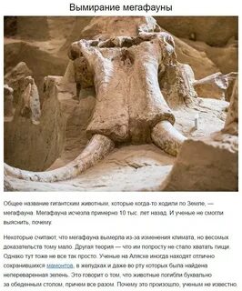 Загадка которой 500 лет