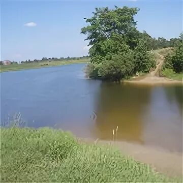 Володарский р-он, д. Усадьба дубки. Дубки нижегородская область. Дубки володарский. Дубки володарский.