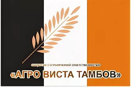 Агро 595. Екатеринино тамбовская область. Агро виста тамбов. Агро вилион тамбовская область. Тамбов виста.