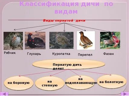 В каком состоянии птица поступает на предприятии