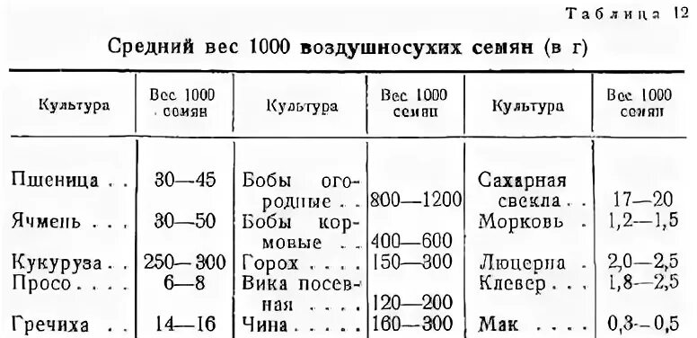Сколько весит 1000