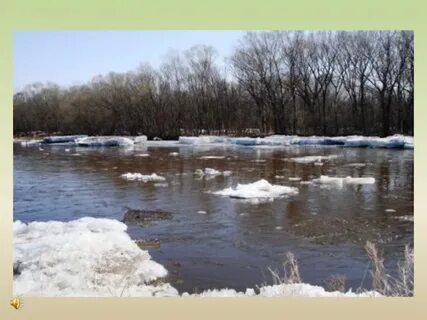 Песня вся природа пробудилась ото сна