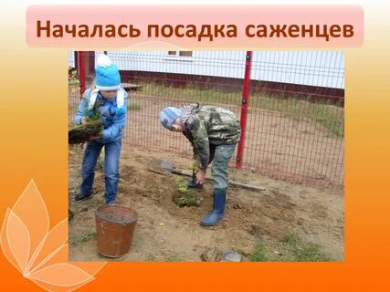 Когда начинается посадка