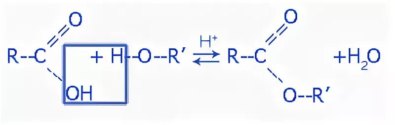 Амид уксусной кислоты. Ch3coonh4 NAOH. Ch3-СН(nh2)-coonh4. Ацетат аммония + ch3oh.