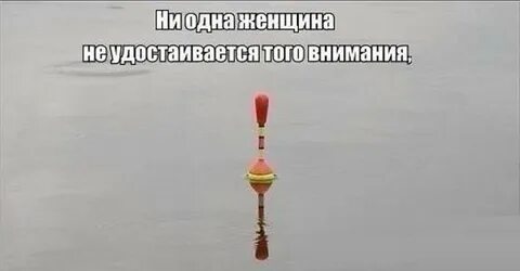 Удостоились и лично получили