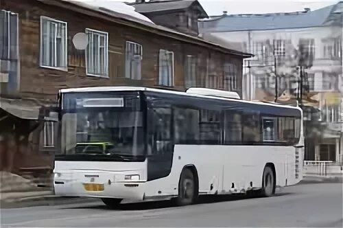Автобус 144 плесково