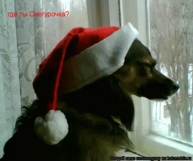 Ты моя снегурочка а ты мой дед