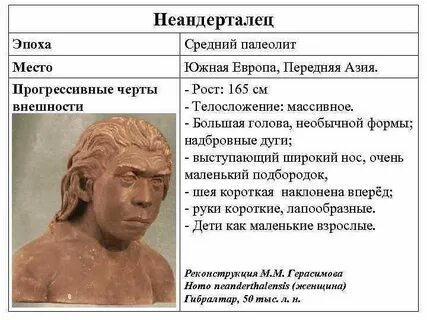 Древнейшие люди характеристика таблица