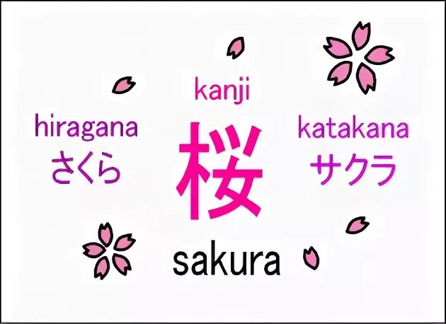 Сакура перевод. Сакура на японском языке. Слово Сакура на японском языке. Сакура надпись на японском языке. Сакура хирагана.