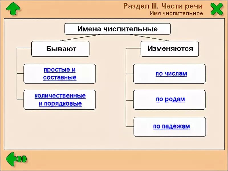 Имя числительное. Схема числительного. Имя числительное схема. Имя числительное схема 6 класс.