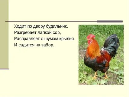 Прокашляются и закричать по всем дворам петухи