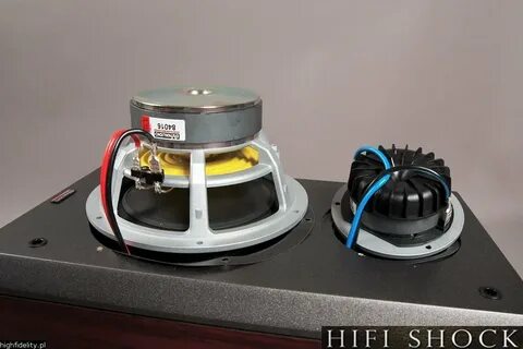 Dynaudio dm