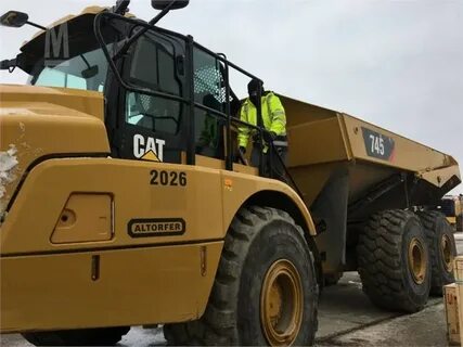 Cat 2018