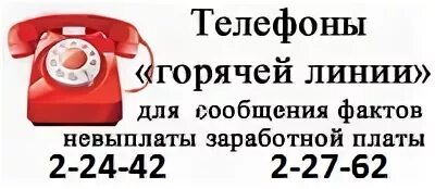 До зарплаты телефон горячей линии