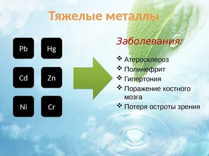 Назовите тяжелые металлы