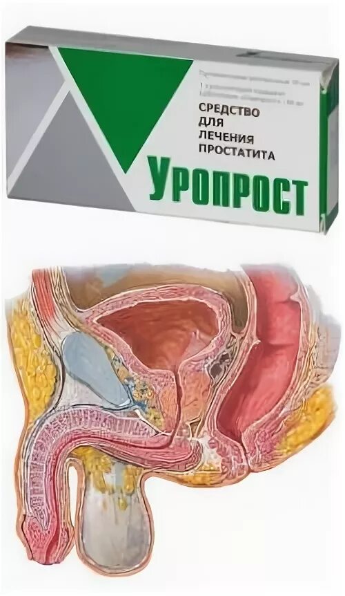 Уропрост супп. Уропрост таблетки инструкция по применению. Уропрост свечи. Уропрост д свечи. Уропрост 10мг n10 супп рект.