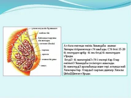 Үйде жақыннан жасалған секс