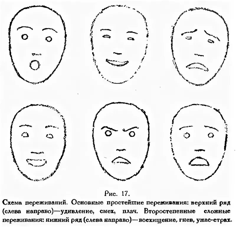 Схемы мимики. Портрет мимика. схема мимики лица человека. мимика лица в схемах. мимический портрет человека.