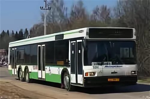 Перепечинское кладбище 104 участок. Автобусы от лобни до перепечинского кладбища. Автобусы от лобни до перепечинского кладбища. Маз 107 66. Шереметьево кладбище перепечинское.