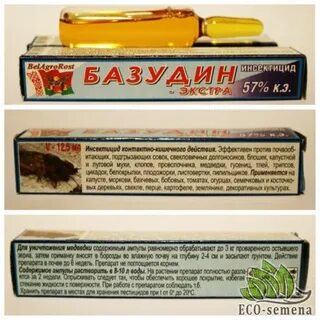Базудин