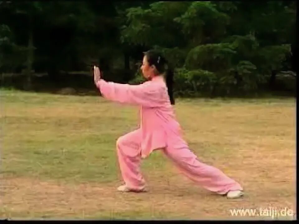 Chi 24