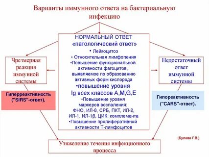 Суть иммунного ответа