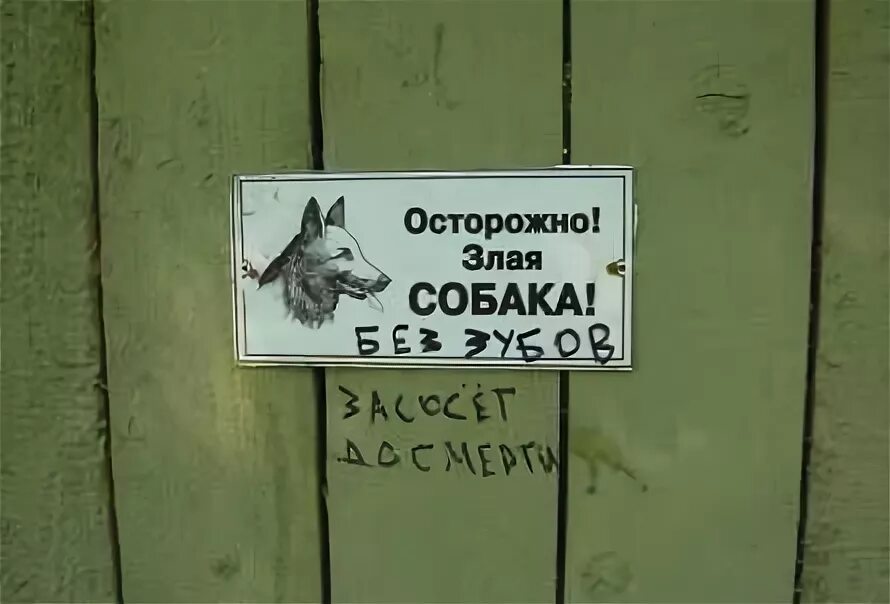 Зато собака. Осторожно злая собака но без зубов. осторожно злая собака но без зубов зато засасывает. злая собака без зубов засасывает насмерть. во дворе злая собака без зубов.