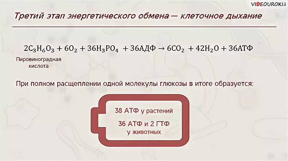 Кислородный бескислородный этап энергетического обмена. Кислородный этап энергетического обмена схема. Кислородный этап энергетического обмена. Подробная схема кислородного этапа энергетического обмена. Клеточное дыхание 9 класс.