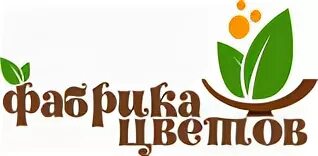Фабрика цветов. Цветы на заводе. Фабрика цветов санкт-петербург. Фабрика цветов. Фабрика цветов отзывы.