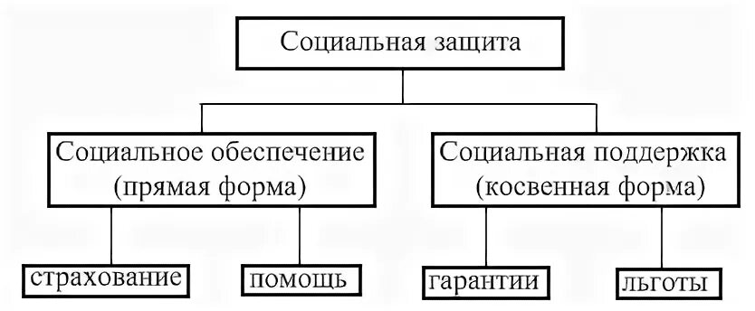 Государственные формы социальной защиты населения. Формы социальной защиты. Система социальной защиты. Виды социальной защиты населения. Формы и виды социальной защиты населения.