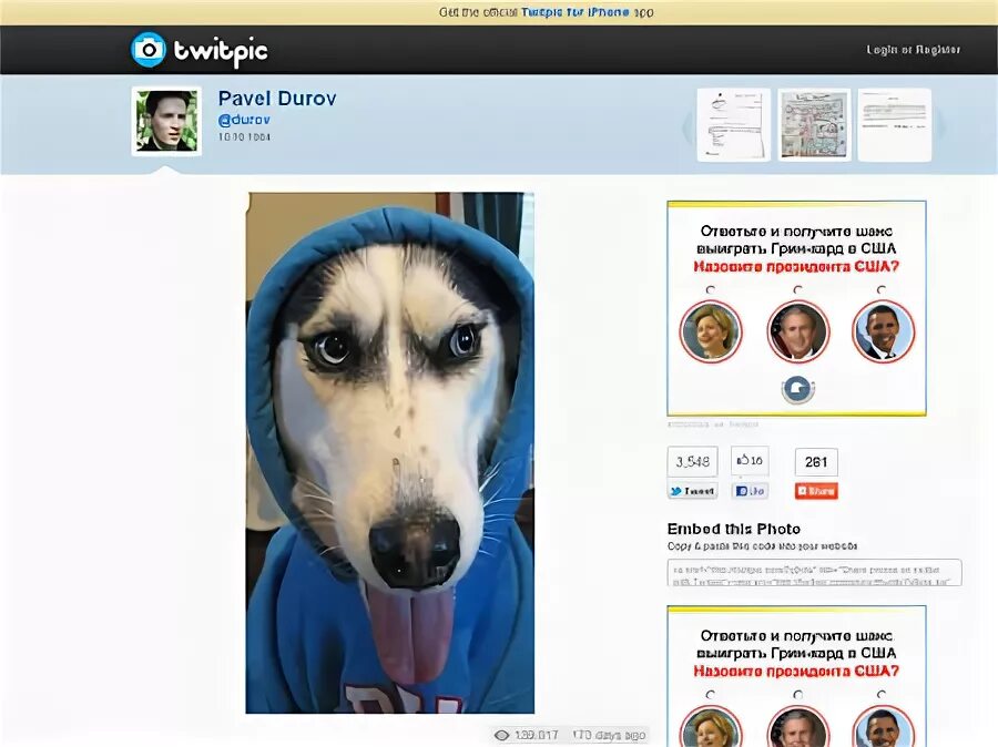 Dogs дуров. Dogs дуров. Dogs дуров. Дуров с собакой. Собака дурова.