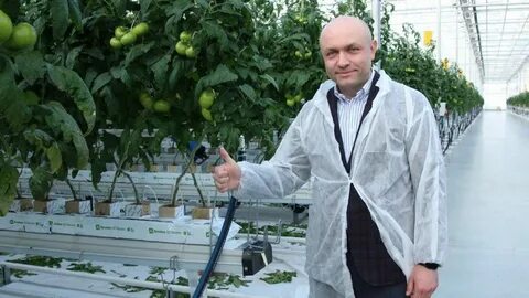 Орловский парахина
