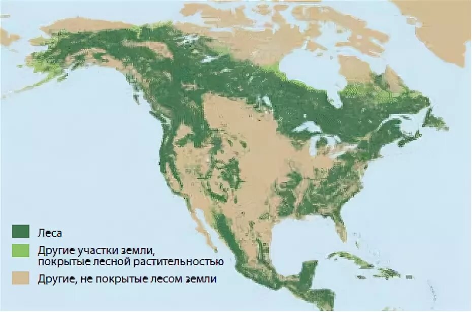 Карта лесов США. Лесные ресурсы Северной Америки на карте. Карта лесов Северной Америки. Лесные ресурсы США карта. Богатство северной америки