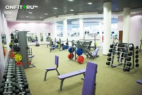 Монарх xfit