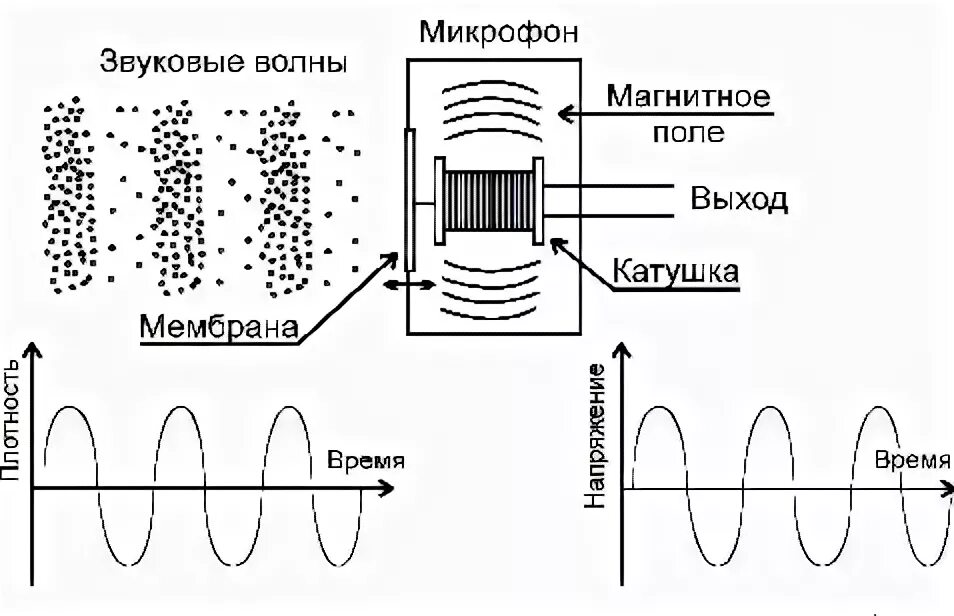 Микрофон преобразует звуковые волны в электрический ... Звуковая волна схема. Схема распространения звуковой волны. Схема передачи звуковых волн. Преобразование звуковых волн