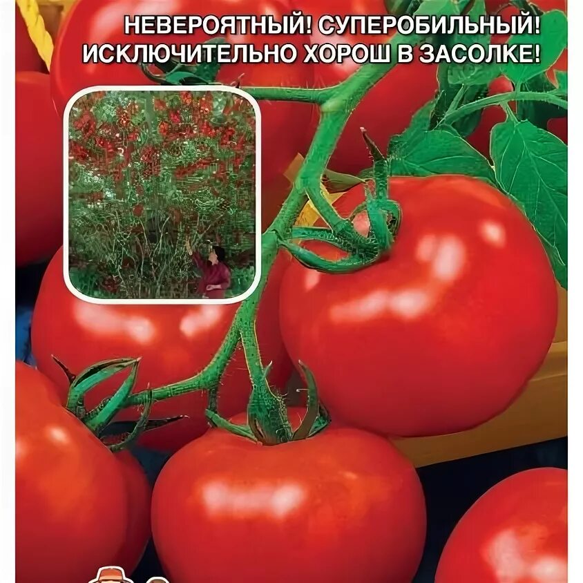 Древовидный томат. Томат ивановна. Томат чудо дерево. Томат чудо дерево f1 уральский дачник. Томатное дерево спрут сливка.