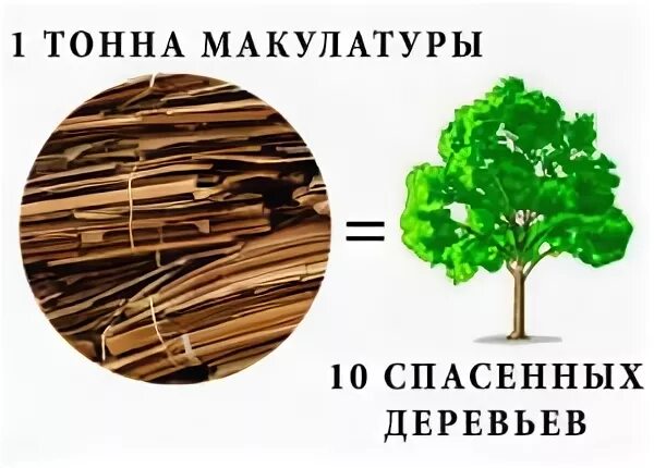 Дерево тн