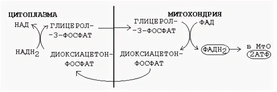 Окисление циклов