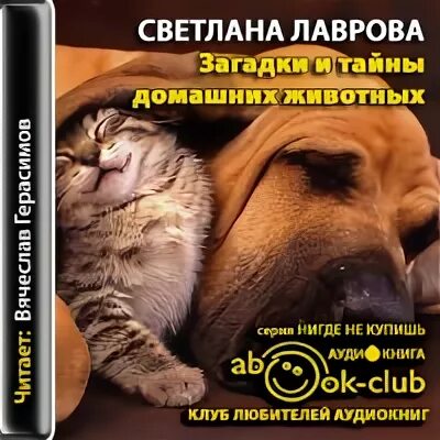 Слушая животных аудиокнига