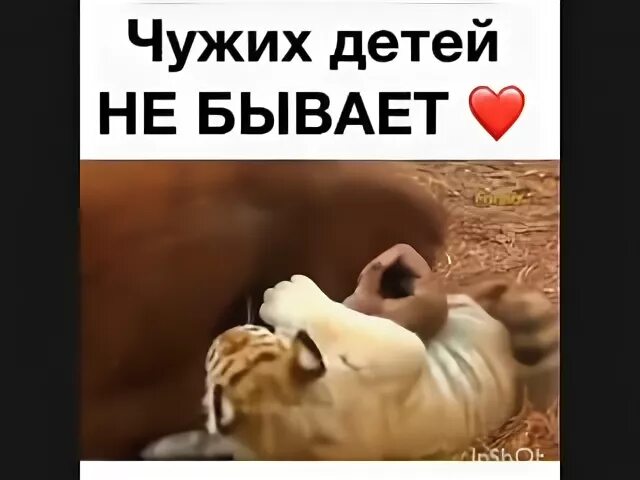 Чужих детей не бывает. Чужих детей не бывает чужой. Чужих детей не бывает Мем. Чужих детей не бывает картинки. Измена не чужой ребенок аня вьери