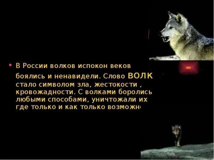 Предложение с словом волк